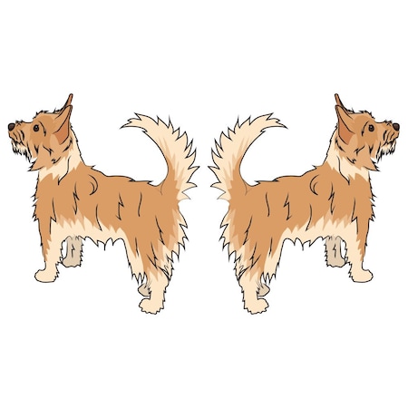 Signmission Portuguese Podengo Pequeno Dog Decal, Dog Lover Decor Vinyl Sticker D-24-Portuguese Podengo Pequeno